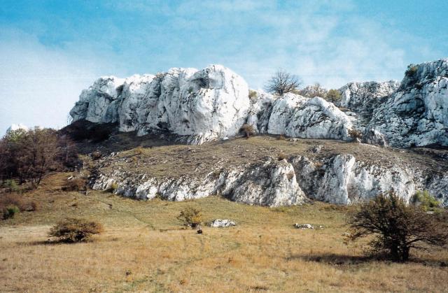 Morava, ČR, 2003 > scan0030