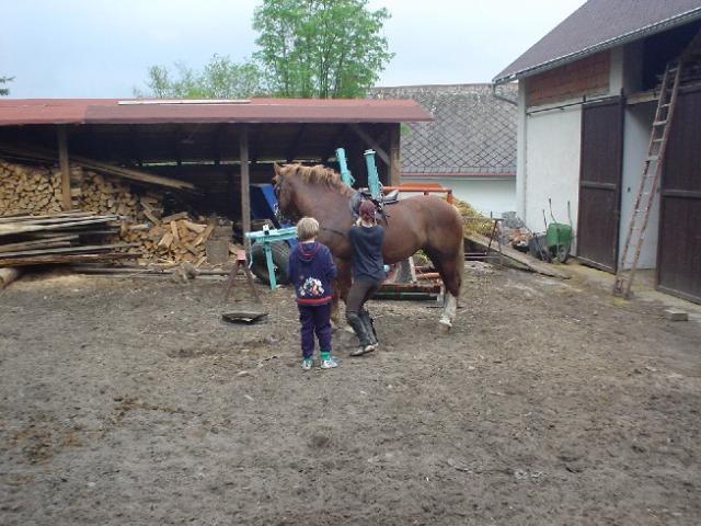 Jizera, 2004 > dsc01212