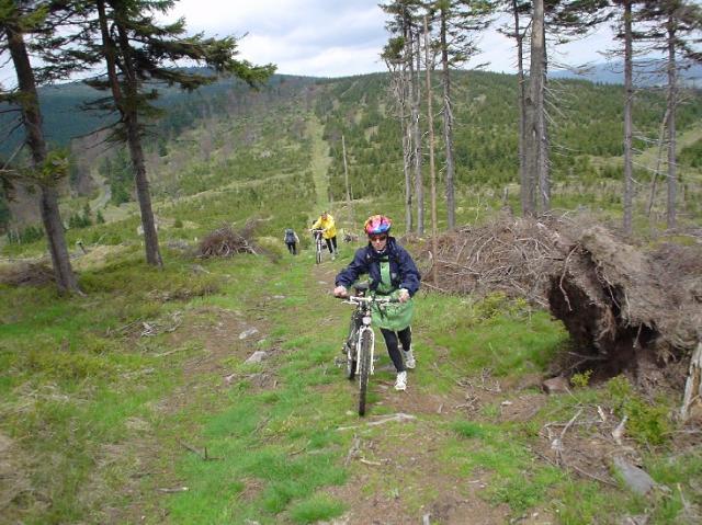 Orlické hory,  2004 > dsc01248