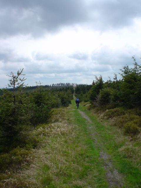 Orlické hory,  2004 > dsc01252