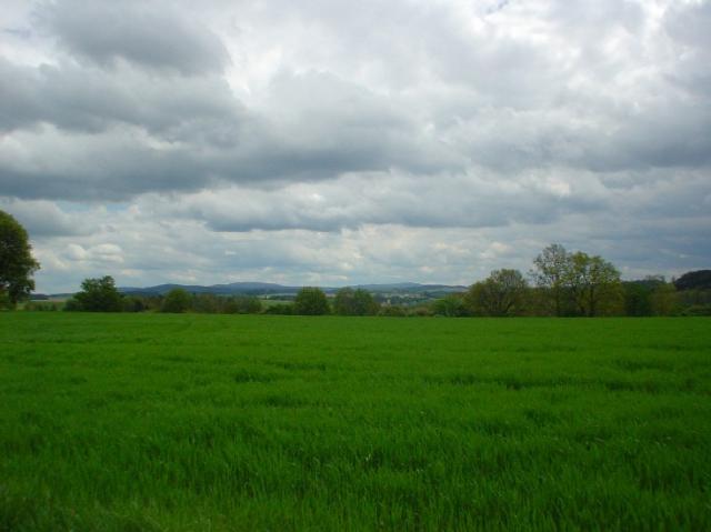 Orlické hory,  2004 > dsc01308