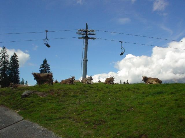 Švýcarsko 2004 > DSC02958