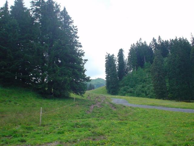 Švýcarsko 2004 > DSC02962