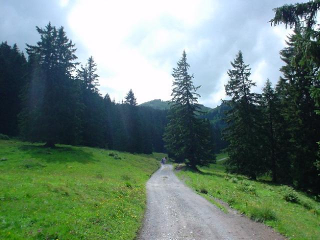 Švýcarsko 2004 > DSC02966