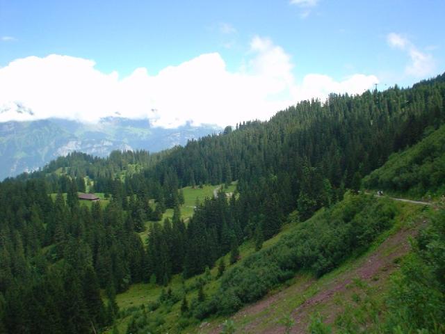 Švýcarsko 2004 > DSC02970