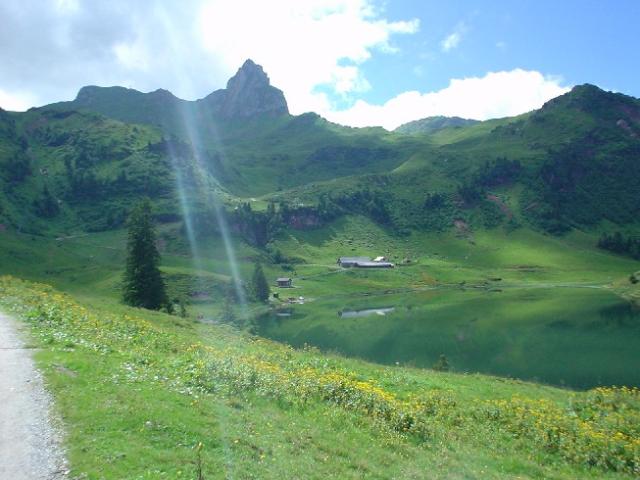 Švýcarsko 2004 > DSC02972