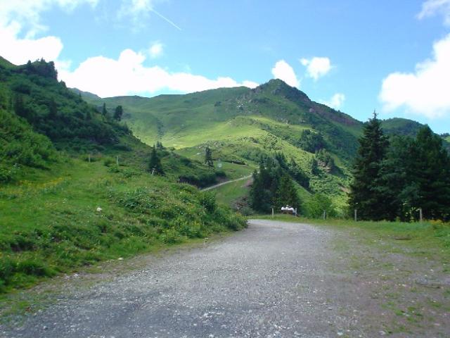 Švýcarsko 2004 > DSC02975