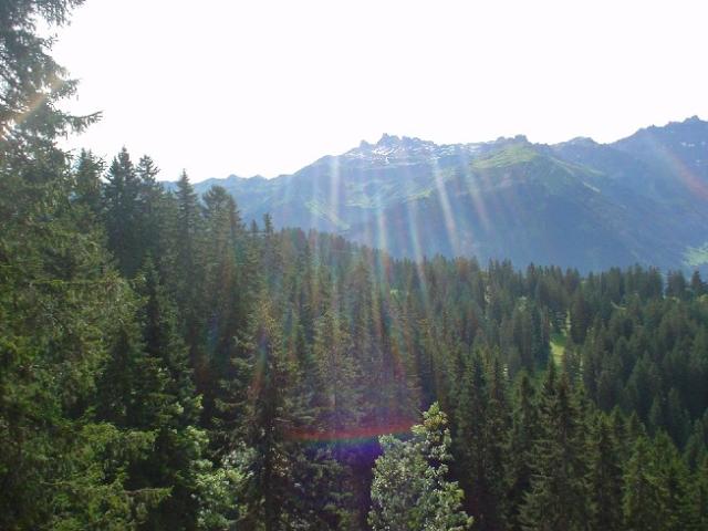 Švýcarsko 2004 > DSC03020
