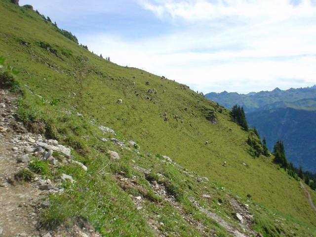 Švýcarsko 2004 > DSC03044