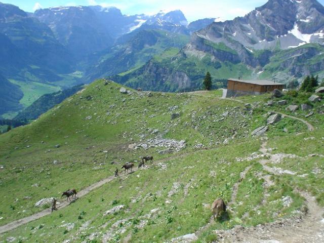 Švýcarsko 2004 > DSC03058