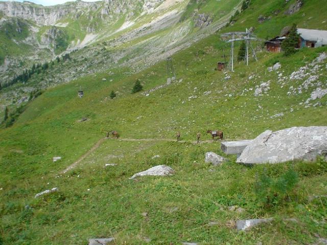 Švýcarsko 2004 > DSC03062