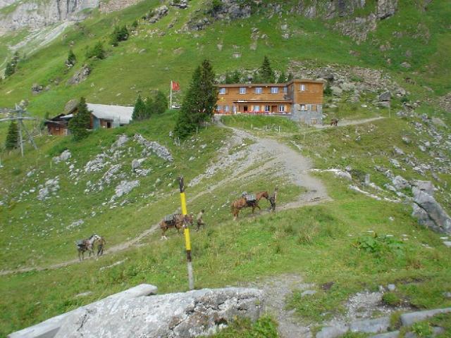 Švýcarsko 2004 > DSC03064
