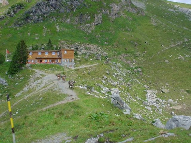 Švýcarsko 2004 > DSC03066