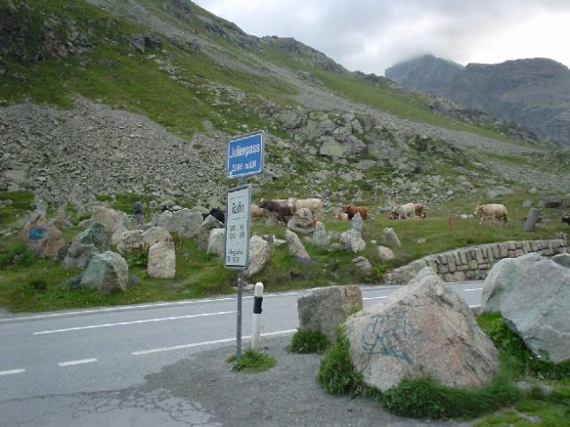 Švýcarsko 2004 > DSC03118