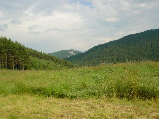 Slovensko, Polsko 2004 > DSC02619