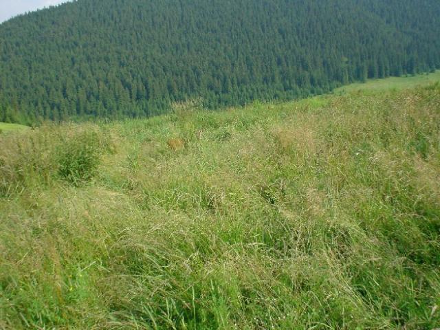 Slovensko, Polsko 2004 > DSC02620