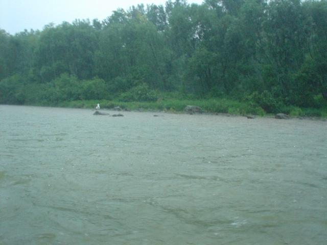 Slovensko, Polsko 2004 > DSC02714