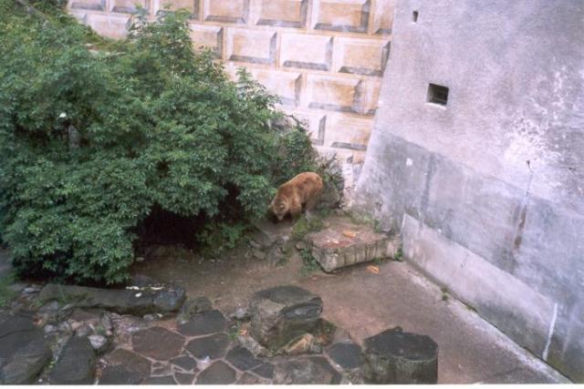 Vltava, červenec 2005 > Vltava 170a
