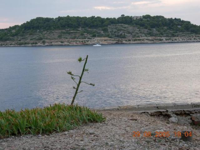 Chorvatsko, jachta, srpen 2005 > jach 055