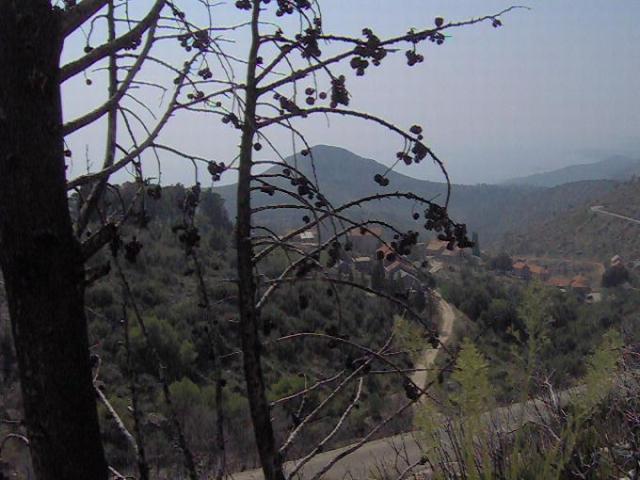 Chorvatsko, jachta, srpen 2005 > jach 183d