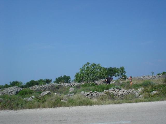 Chorvatsko, jachta, srpen 2005 > jach 184
