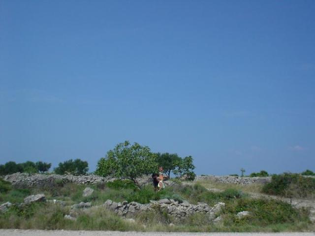 Chorvatsko, jachta, srpen 2005 > jach 185