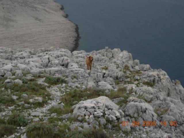 Chorvatsko, jachta, srpen 2005 > jach 230