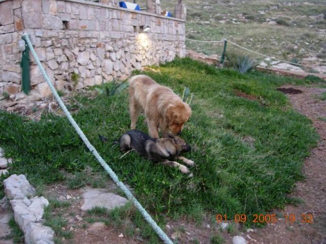 Chorvatsko, jachta, srpen 2005 > jach 231