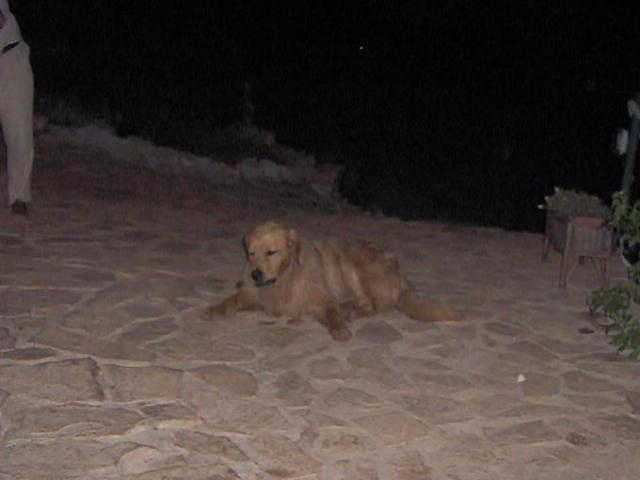Chorvatsko, jachta, srpen 2005 > jach 238a