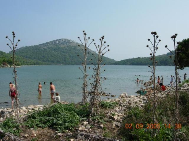 Chorvatsko, jachta, srpen 2005 > jach 319a