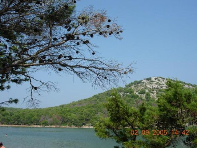 Chorvatsko, jachta, srpen 2005 > jach 319c