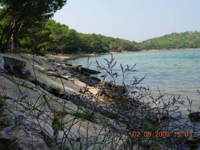 Chorvatsko, jachta, srpen 2005 > jach 319g
