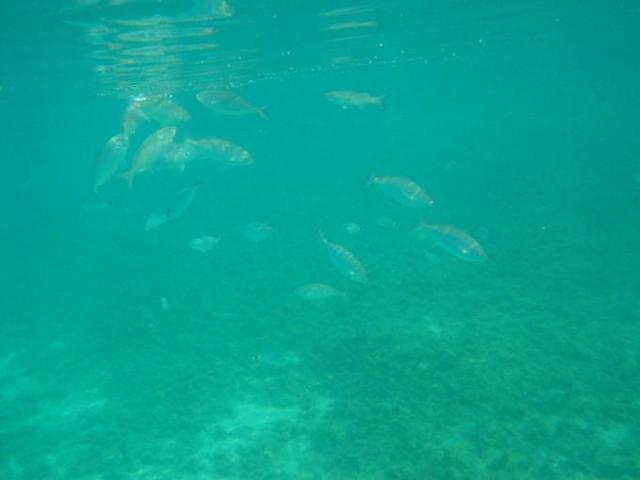Chorvatsko, jachta, srpen 2005 > jach 341