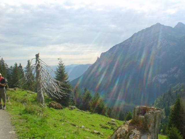 Švýcarsko, srpen 2005 > DSC07150