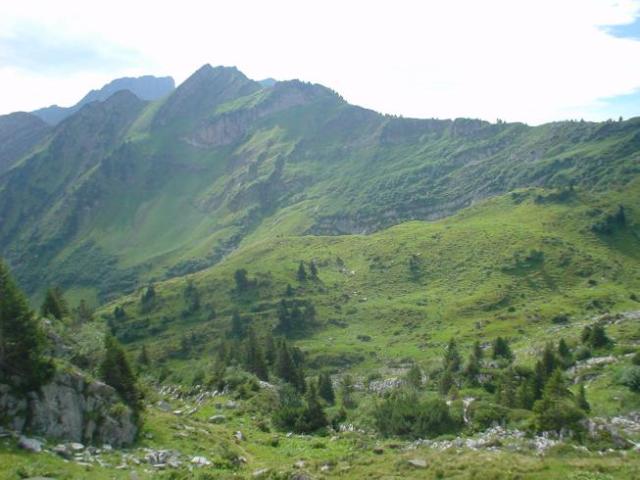 Švýcarsko, srpen 2005 > DSC07153