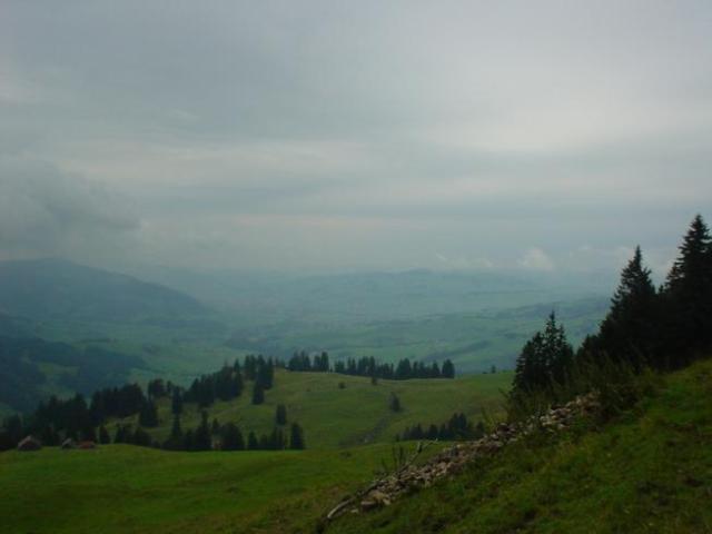 Švýcarsko, srpen 2005 > DSC07191