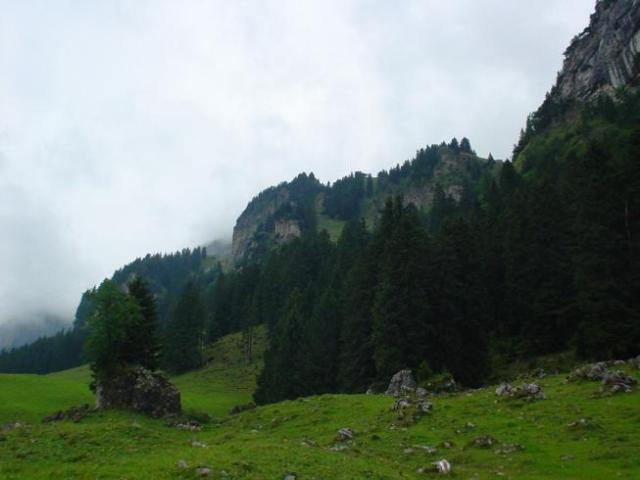Švýcarsko, srpen 2005 > DSC07192