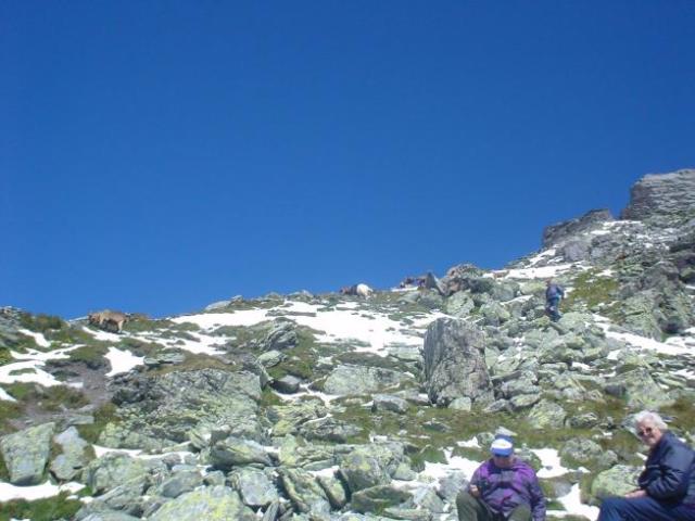 Švýcarsko, srpen 2005 > DSC07228
