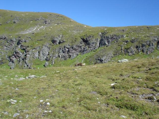 Švýcarsko, srpen 2005 > DSC07253