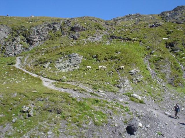 Švýcarsko, srpen 2005 > DSC07254
