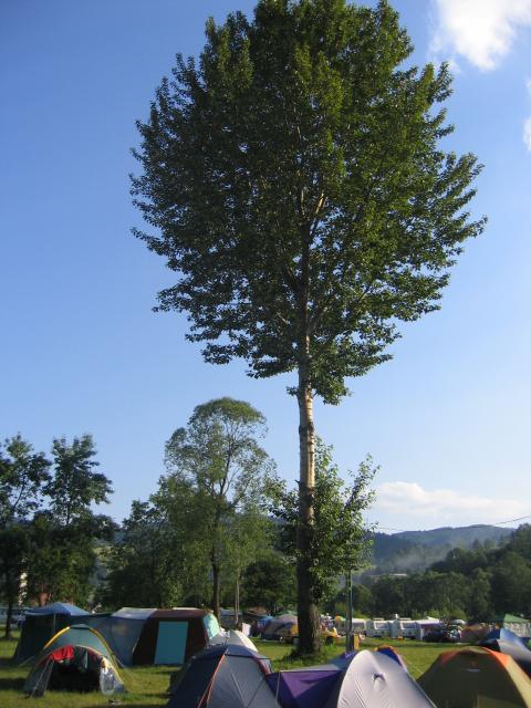 Slovensko, červenec 2006 > voda (171)