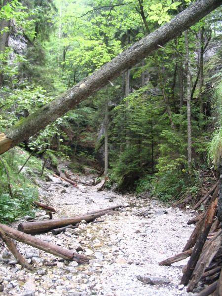 Slovensko, Polsko, srpen 2006 > Slovensko-Polsko 08-2006  056