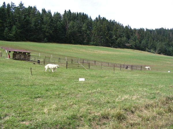 Slovensko, Polsko, srpen 2006 > Slovensko-Polsko 08-2006  061