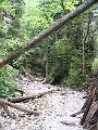 Slovensko-Polsko 08-2006  056
