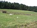 Slovensko-Polsko 08-2006  061