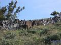 jachta 09-2006 247