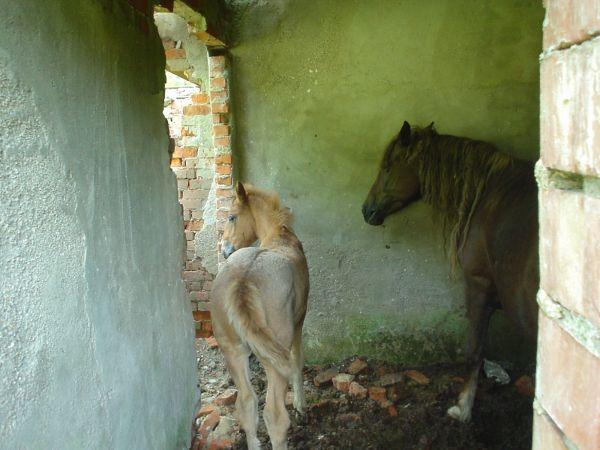 Ukrajina, červenec 2007 > ua (261)