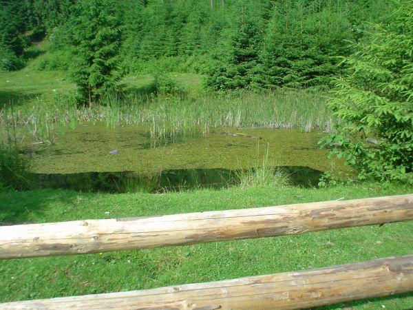 Ukrajina, červenec 2007 > ua (262)