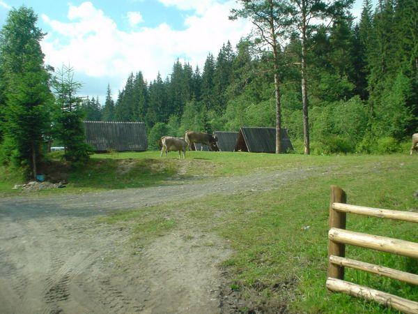 Ukrajina, červenec 2007 > ua (263)