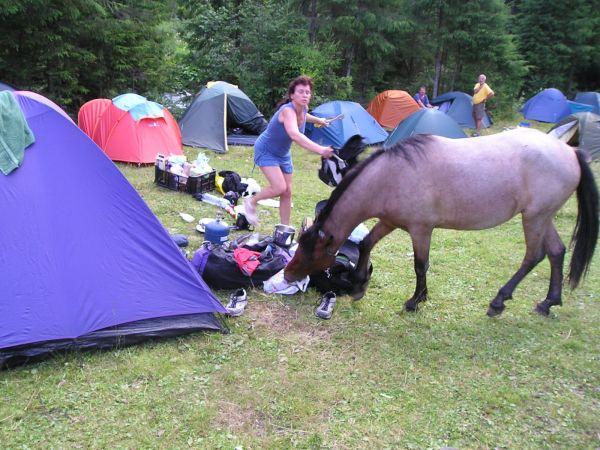 Ukrajina, červenec 2007 > ua (272)